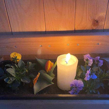 Apartament Biohof-Feichtinger Zell am Moos Zewnętrze zdjęcie
